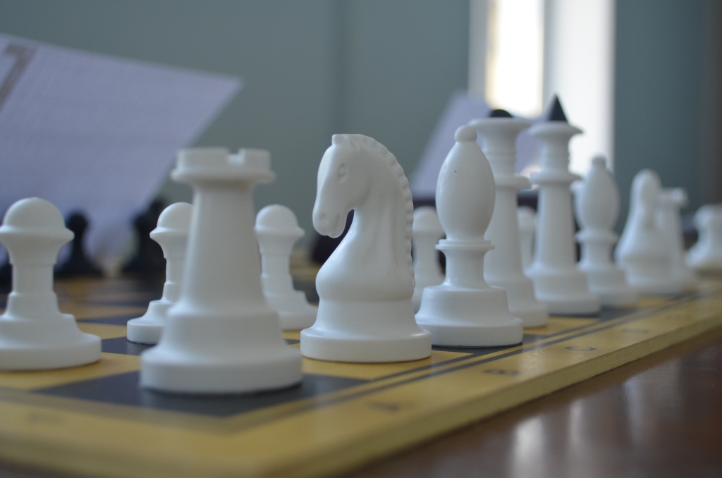 У Житомирі стартував чемпіонат міста з шахів «Кубок Готовчиця»
