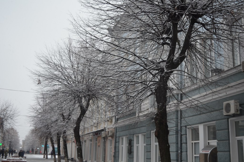  Снігопад у Житомирі. Комунальні служби справляються із розчищенням вулиць