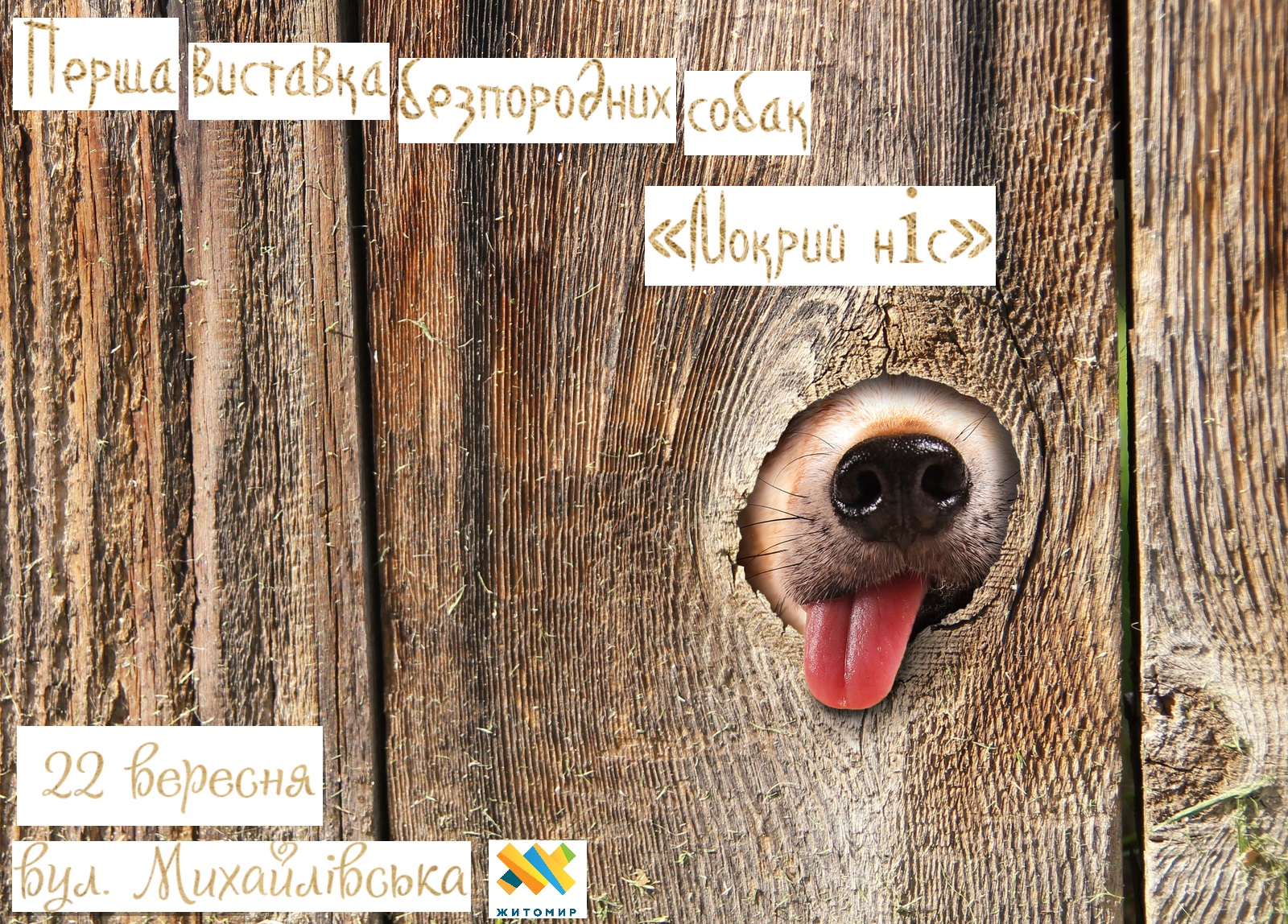 Житомирян запрошують на виставку безпородних собак «Мокрий ніс – 2018»
