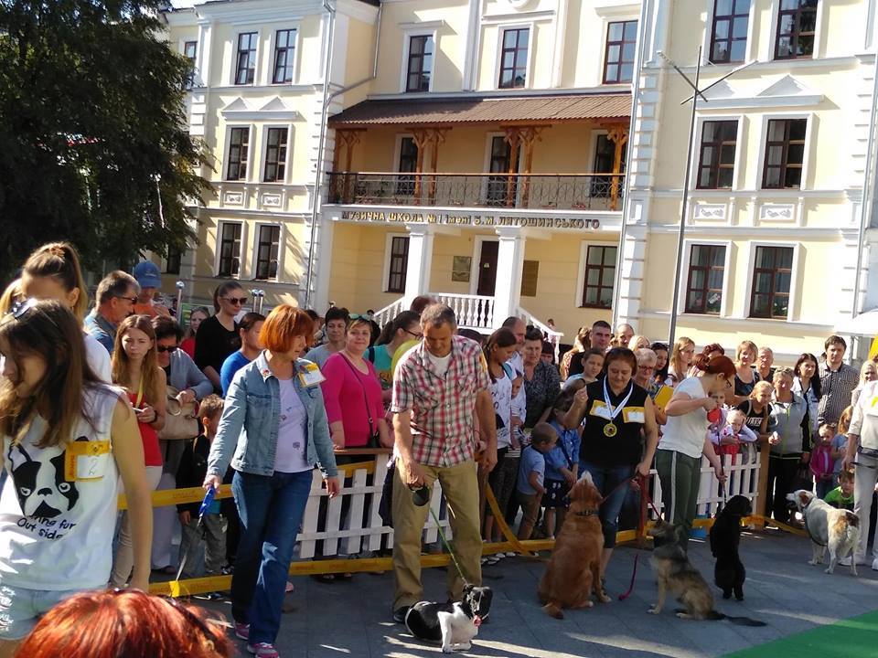У Житомирі понад півтора десятка чотирилапих узяли участь у першій виставці безпородних собак «Мокрий ніс»