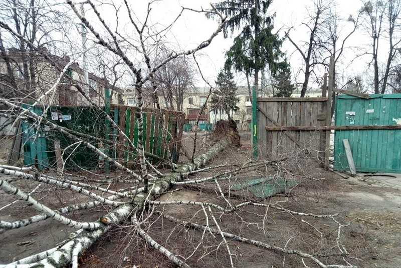 У Житомирі перевірять стан рекламних конструкцій, що зазнали пошкодження під час негоди