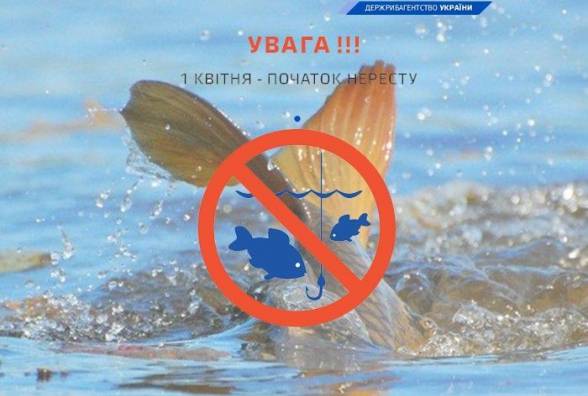 З 1 квітня діє заборона на вилов риби та раків у зв’язку з нерестом