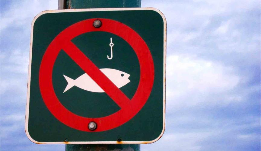 Увага! З 1 квітня починає діяти заборона на лов рибина вилов риби та раків у зв’язку з нерестом