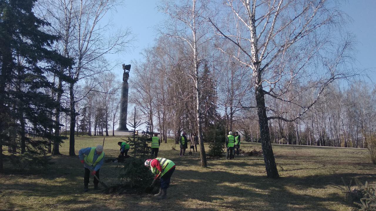 У Житомирі продовжуються роботи з озеленення міста