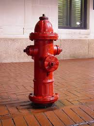 З 15 по 17 травня у Житомирі будуть відкриті деякі пожежні гідранти
