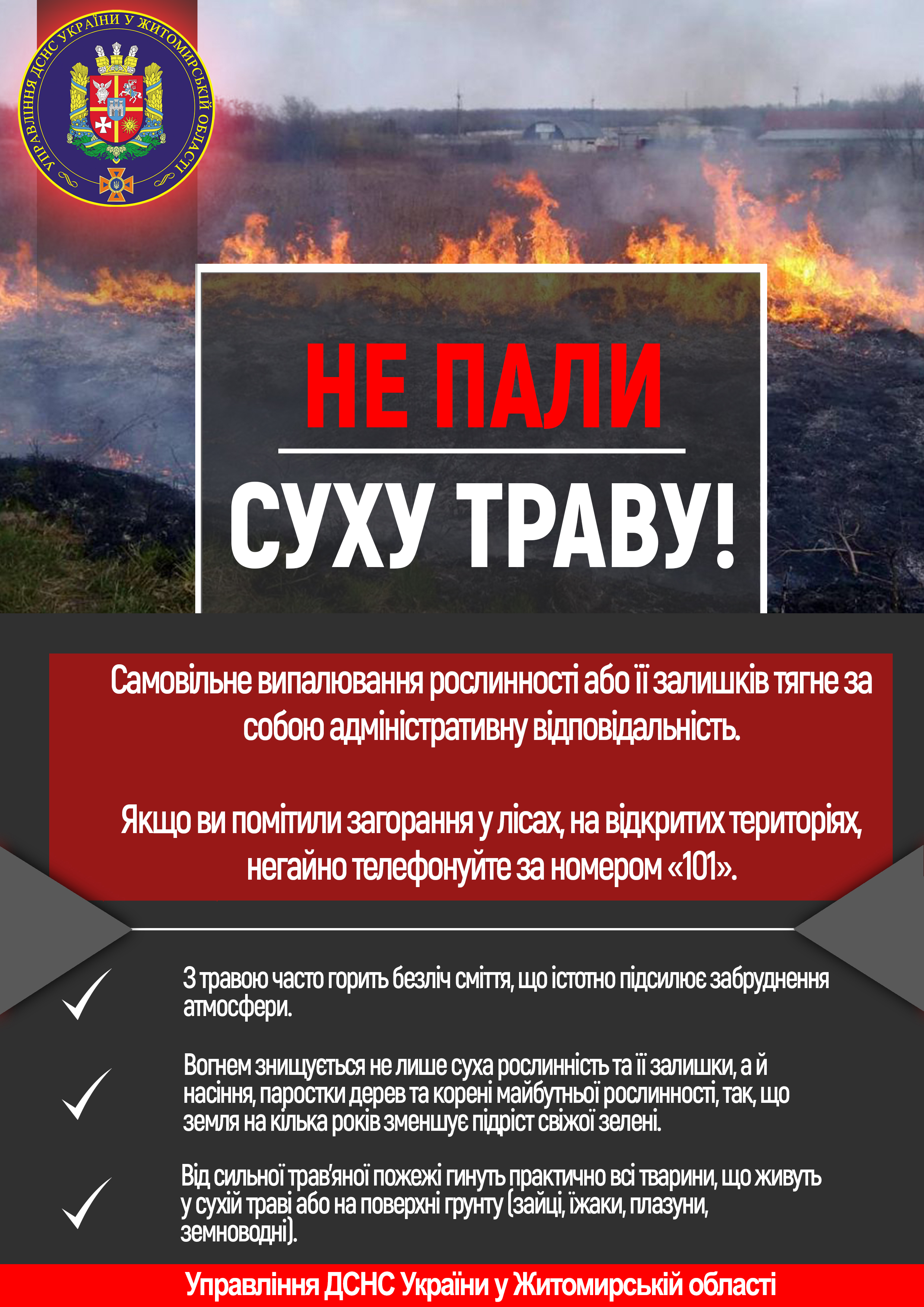ДСНС закликає громадян не провокувати пожежі у природних екосистемах