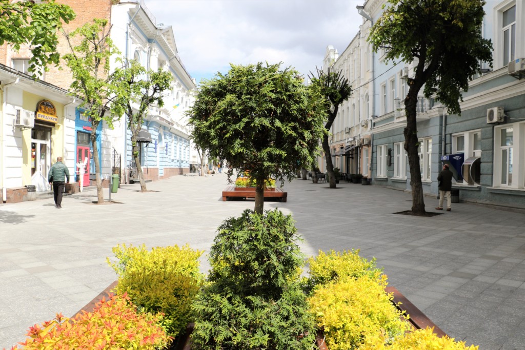 Відсьогодні на Михайлівську повертаються лавки з декоративними рослинами