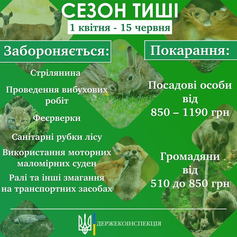 У лісах Житомирщини з 1 квітня буде введено 