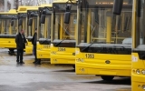 Близько 50 нових тролейбусів з’явиться у Житомирі в 2019 році 