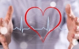 Найпопулярніші питання та відповіді про здоров’я серця