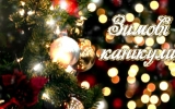                 У школах Житомира зимові канікули триватимуть з 21 грудня до 12 січня