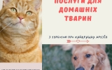 КП «Центр захисту тварин» надає ветеринарні послуги для домашніх улюбленців з індивідуальним підходом до кожного чотирилапого 