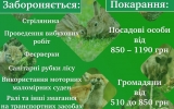 У лісах Житомирщини з 1 квітня буде введено 