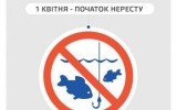 У водоймах міста стартувала нерестова заборона на вилов водних біоресурсів