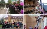 Подарунок до Дня усиновлення: 70 житомирських дітей  їздили до зоопарку