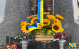 Соняхи… Символ України і символ болю водночас