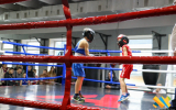 Сила, мужність і витримка: понад 60 юних боксерів демонстрували свою майстерність на рингу