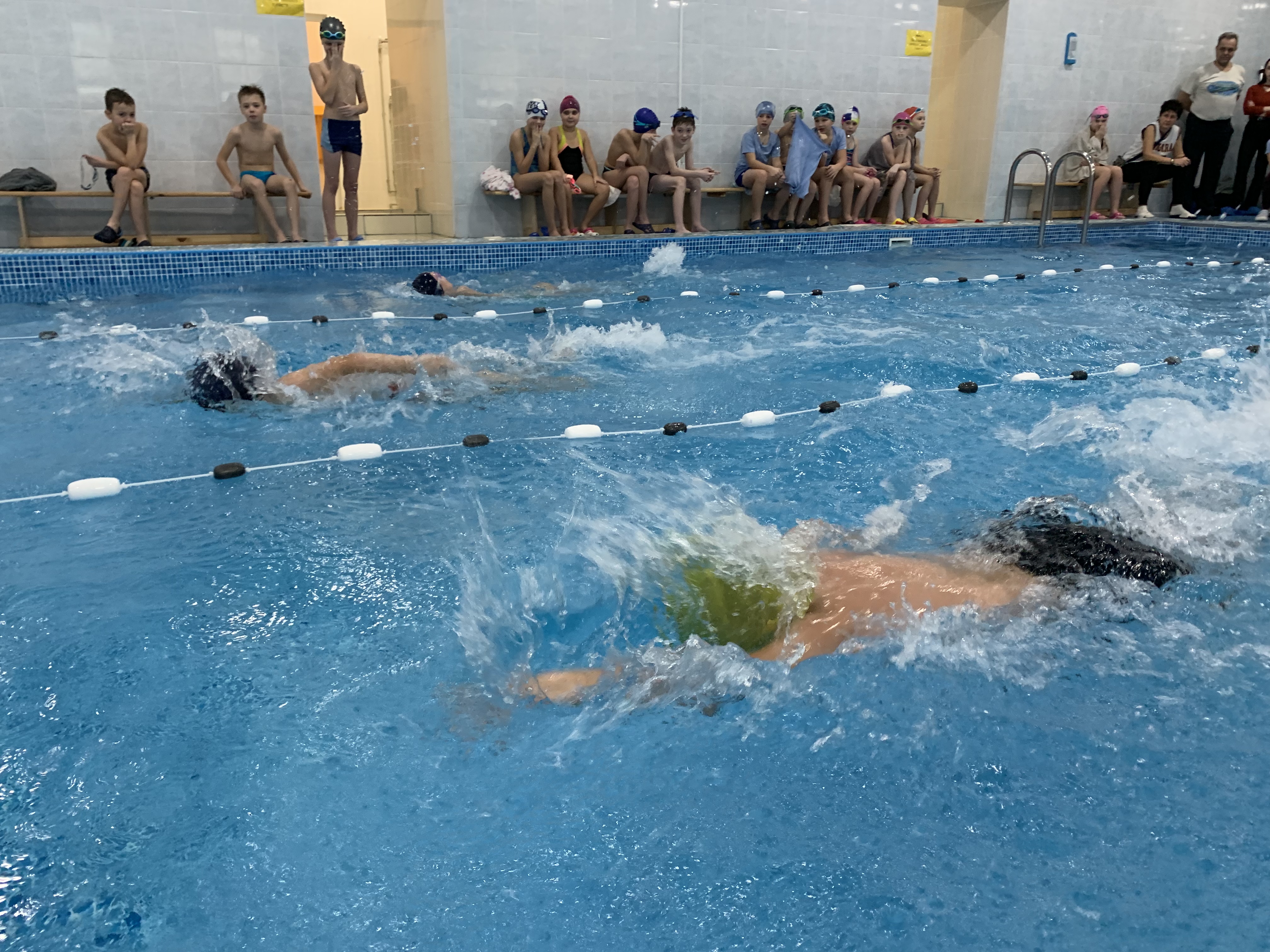 У Житомирі відбувся шкільний чемпіонат з плавання