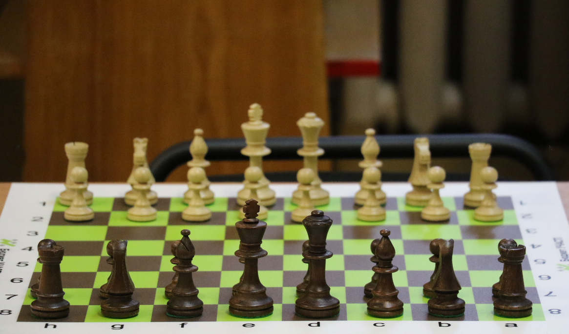 У Житомир діють безкоштовні шахові клуби 