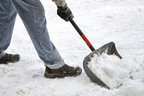 Підприємства, установи, організації усіх форм власності зобов’язані забезпечувати своєчасну очистку від снігу та льоду закріпленої за ними території