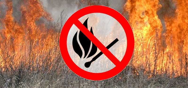 Штрафи за підпалювання сухої рослинності збільшено у 18 разів!