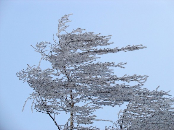 Увага! Попередження про сильні пориви вітру