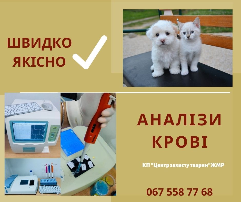 Центр захисту тварин надає послуги з діагностики крові для домашніх тварин.