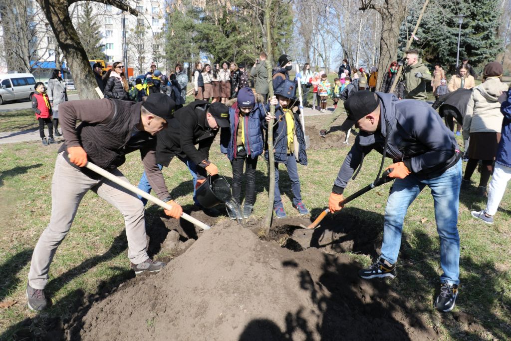 1000 нових дерев у Житомирі: естафета #Дереводня  переходить Миколаєву та Дніпру