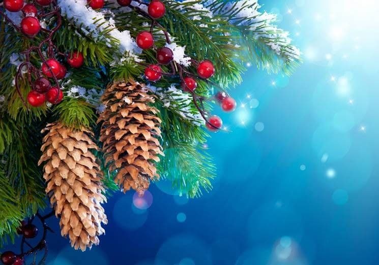 Яка програма різдвяних та новорічних свят чекає на  мешканців та гостей Житомирської громади