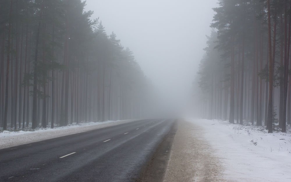 УВАГА! У Житомирі упродовж 10 грудня утримається туман